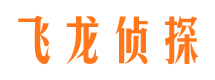 津南市调查公司